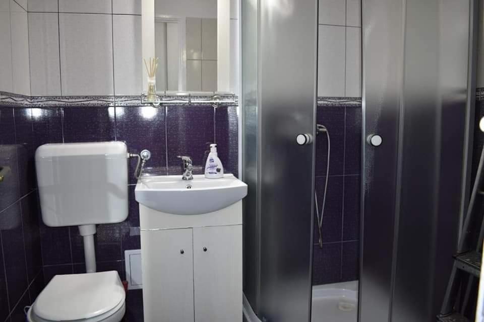 Bega Circumvalatiunii 1 Room Apartment Timişoara Exteriör bild