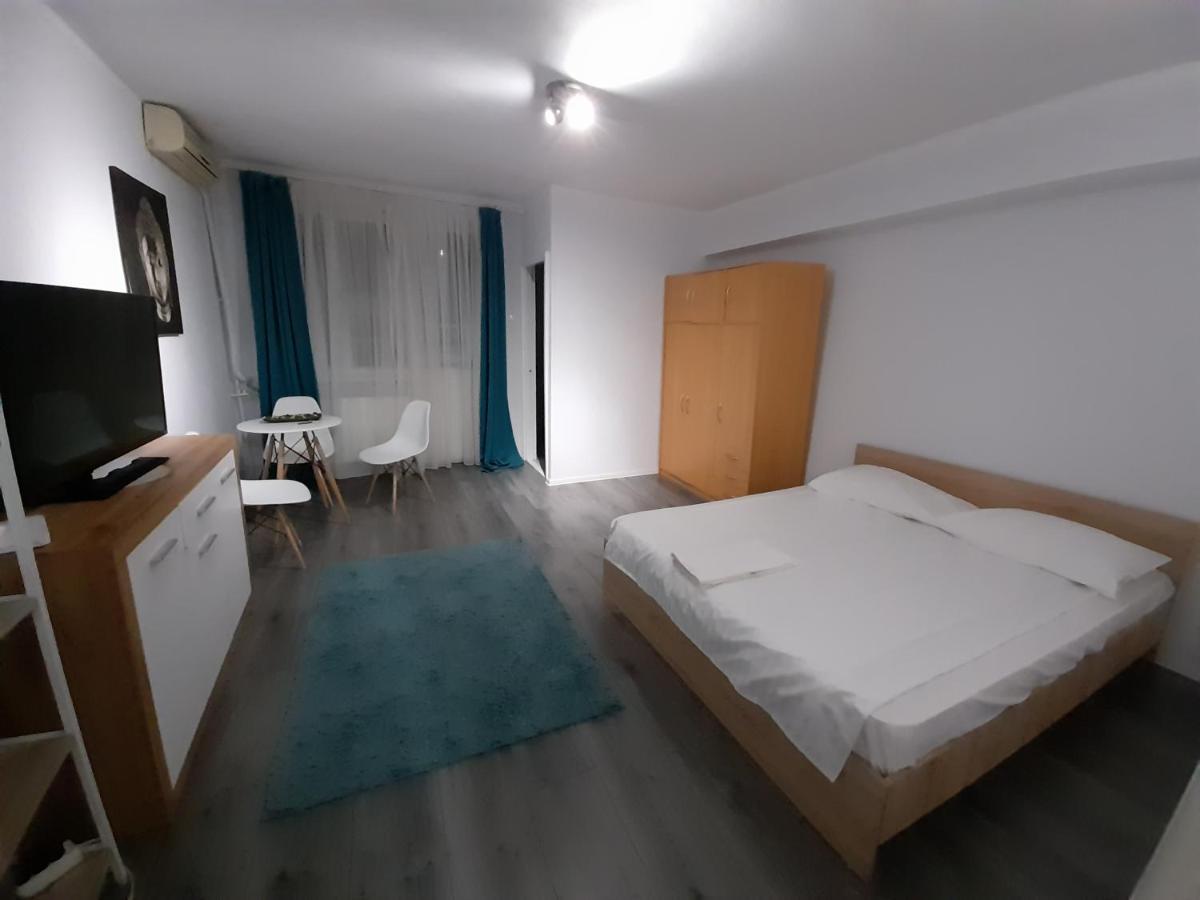 Bega Circumvalatiunii 1 Room Apartment Timişoara Exteriör bild